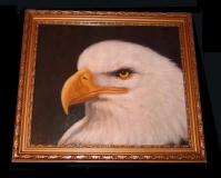 American Eagle Seeadler oil painting original Gemälde in Gold ge